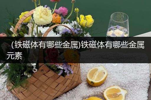 （铁磁体有哪些金属)铁磁体有哪些金属元素