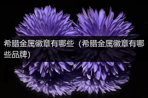 希腊金属徽章有哪些（希腊金属徽章有哪些品牌）