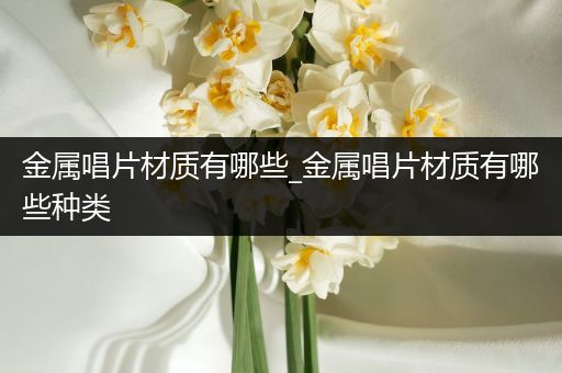 金属唱片材质有哪些_金属唱片材质有哪些种类