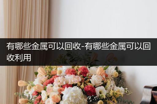 有哪些金属可以回收-有哪些金属可以回收利用
