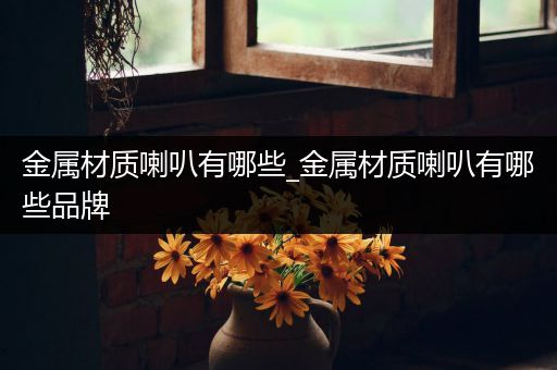 金属材质喇叭有哪些_金属材质喇叭有哪些品牌