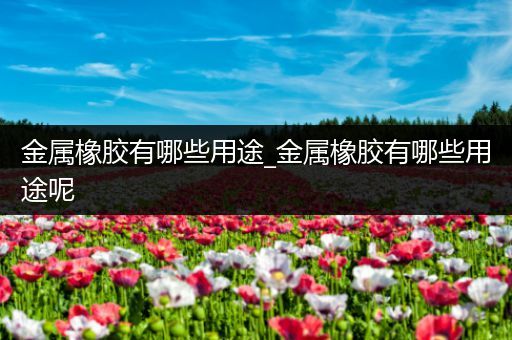 金属橡胶有哪些用途_金属橡胶有哪些用途呢