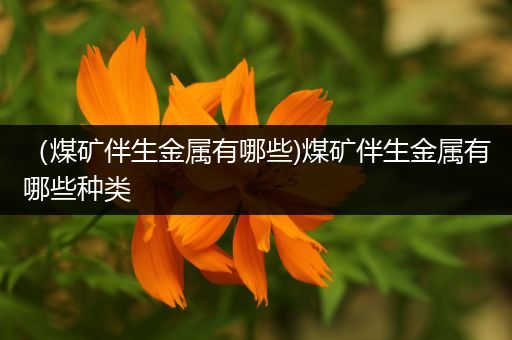 （煤矿伴生金属有哪些)煤矿伴生金属有哪些种类