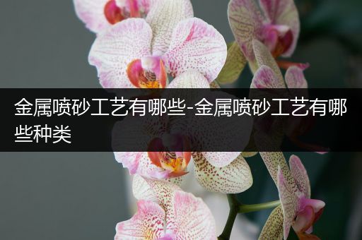 金属喷砂工艺有哪些-金属喷砂工艺有哪些种类