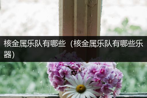 核金属乐队有哪些（核金属乐队有哪些乐器）