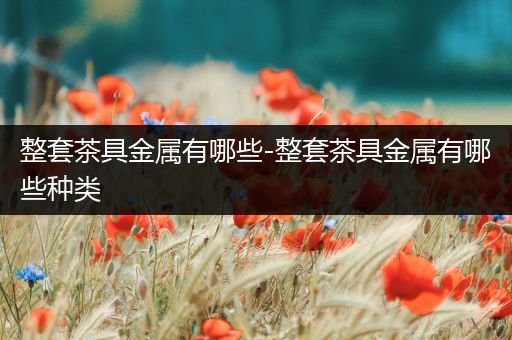 整套茶具金属有哪些-整套茶具金属有哪些种类