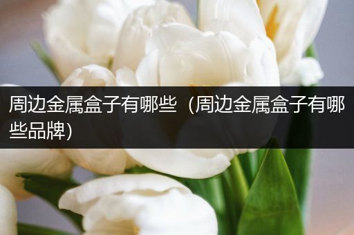 周边金属盒子有哪些（周边金属盒子有哪些品牌）