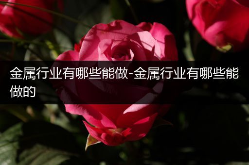 金属行业有哪些能做-金属行业有哪些能做的