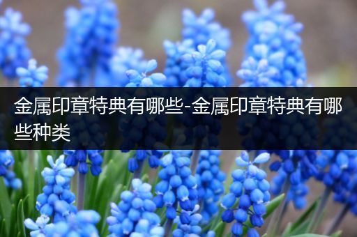 金属印章特典有哪些-金属印章特典有哪些种类