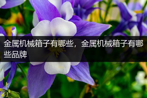 金属机械箱子有哪些，金属机械箱子有哪些品牌