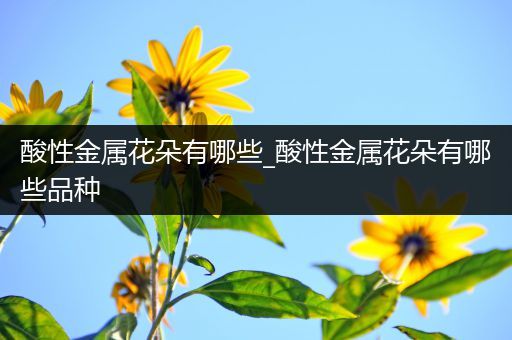 酸性金属花朵有哪些_酸性金属花朵有哪些品种