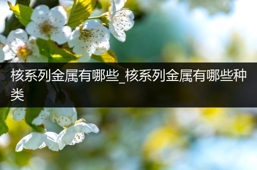 核系列金属有哪些_核系列金属有哪些种类