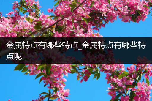 金属特点有哪些特点_金属特点有哪些特点呢