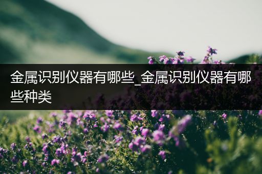 金属识别仪器有哪些_金属识别仪器有哪些种类