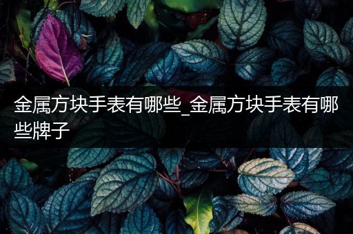 金属方块手表有哪些_金属方块手表有哪些牌子