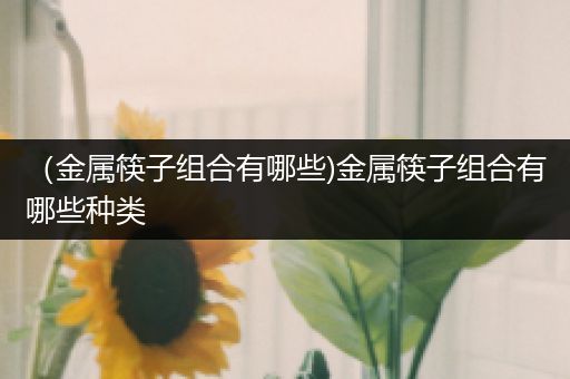（金属筷子组合有哪些)金属筷子组合有哪些种类