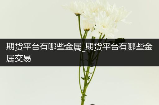 期货平台有哪些金属_期货平台有哪些金属交易