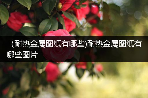 （耐热金属图纸有哪些)耐热金属图纸有哪些图片