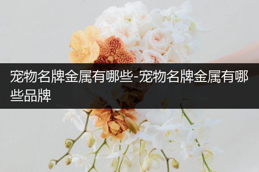 宠物名牌金属有哪些-宠物名牌金属有哪些品牌
