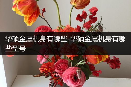华硕金属机身有哪些-华硕金属机身有哪些型号