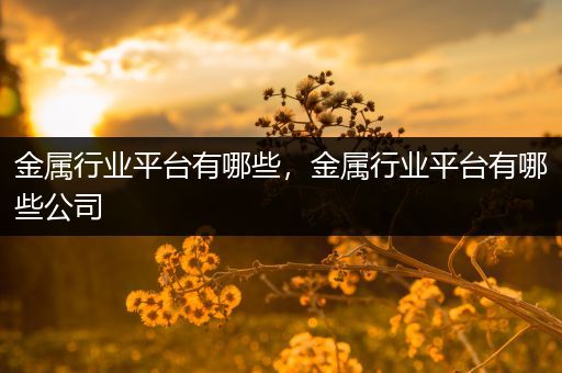 金属行业平台有哪些，金属行业平台有哪些公司