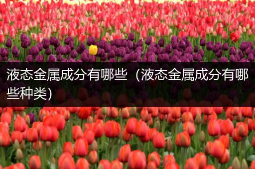 液态金属成分有哪些（液态金属成分有哪些种类）