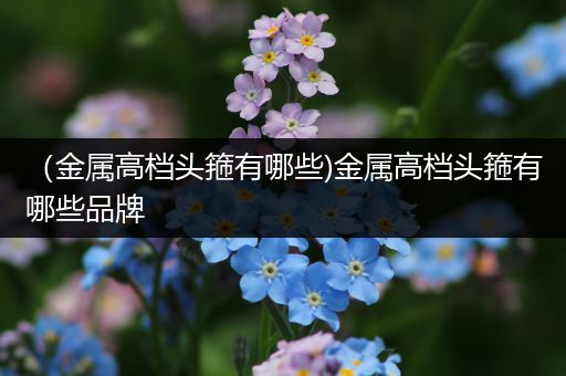 （金属高档头箍有哪些)金属高档头箍有哪些品牌