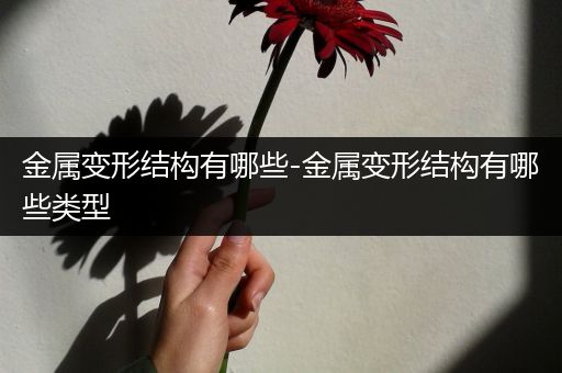金属变形结构有哪些-金属变形结构有哪些类型