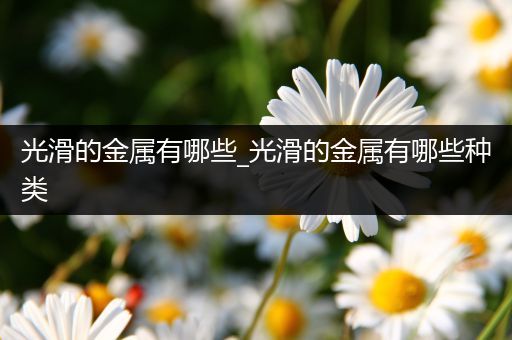 光滑的金属有哪些_光滑的金属有哪些种类