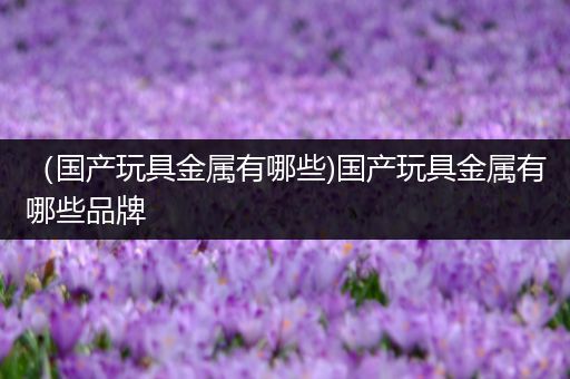 （国产玩具金属有哪些)国产玩具金属有哪些品牌