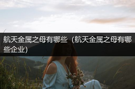 航天金属之母有哪些（航天金属之母有哪些企业）