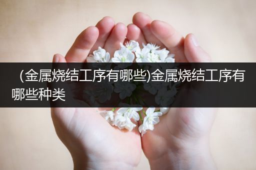 （金属烧结工序有哪些)金属烧结工序有哪些种类
