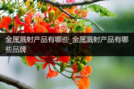 金属溅射产品有哪些_金属溅射产品有哪些品牌