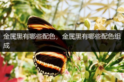 金属黑有哪些配色，金属黑有哪些配色组成