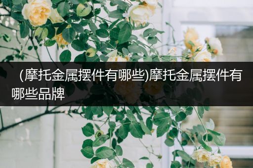 （摩托金属摆件有哪些)摩托金属摆件有哪些品牌