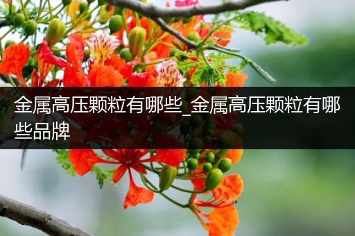 金属高压颗粒有哪些_金属高压颗粒有哪些品牌