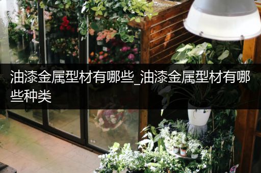 油漆金属型材有哪些_油漆金属型材有哪些种类
