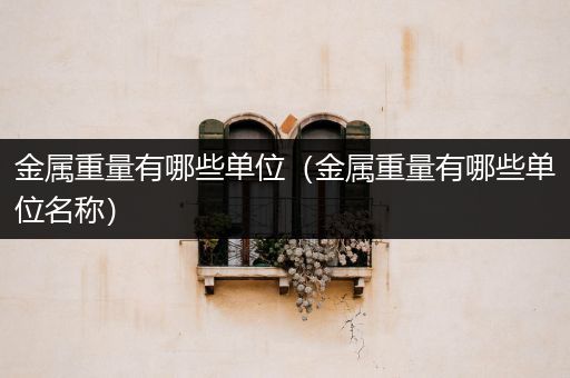 金属重量有哪些单位（金属重量有哪些单位名称）