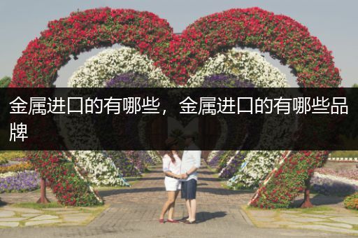 金属进口的有哪些，金属进口的有哪些品牌