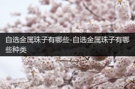 自选金属珠子有哪些-自选金属珠子有哪些种类