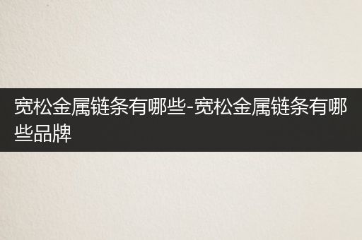 宽松金属链条有哪些-宽松金属链条有哪些品牌