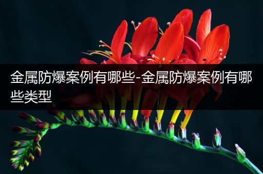 金属防爆案例有哪些-金属防爆案例有哪些类型