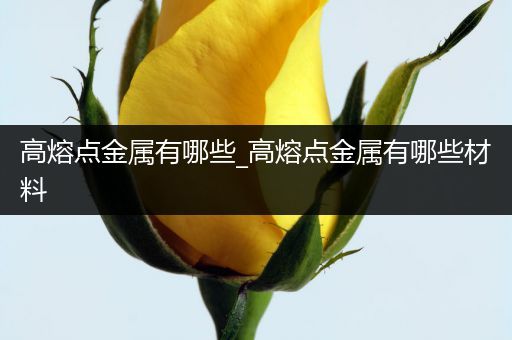 高熔点金属有哪些_高熔点金属有哪些材料