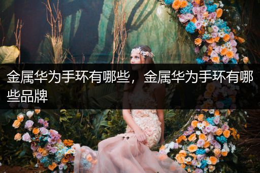 金属华为手环有哪些，金属华为手环有哪些品牌