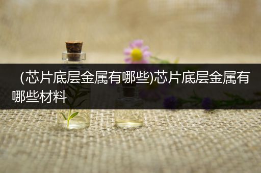 （芯片底层金属有哪些)芯片底层金属有哪些材料