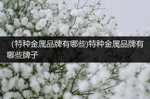 （特种金属品牌有哪些)特种金属品牌有哪些牌子