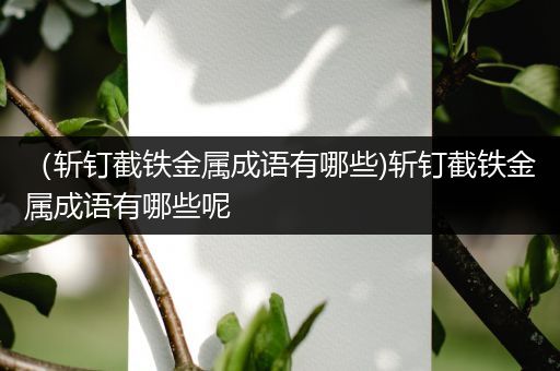 （斩钉截铁金属成语有哪些)斩钉截铁金属成语有哪些呢