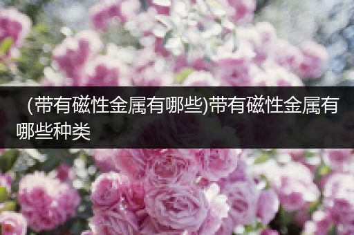 （带有磁性金属有哪些)带有磁性金属有哪些种类