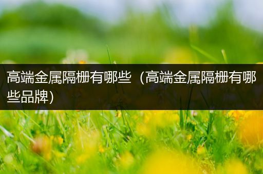 高端金属隔栅有哪些（高端金属隔栅有哪些品牌）