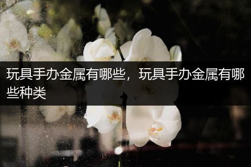 玩具手办金属有哪些，玩具手办金属有哪些种类